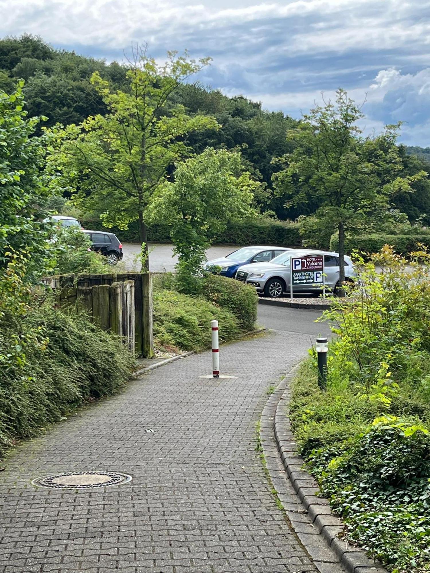 Aparthotel Tannenhof ヴィットリッヒ エクステリア 写真