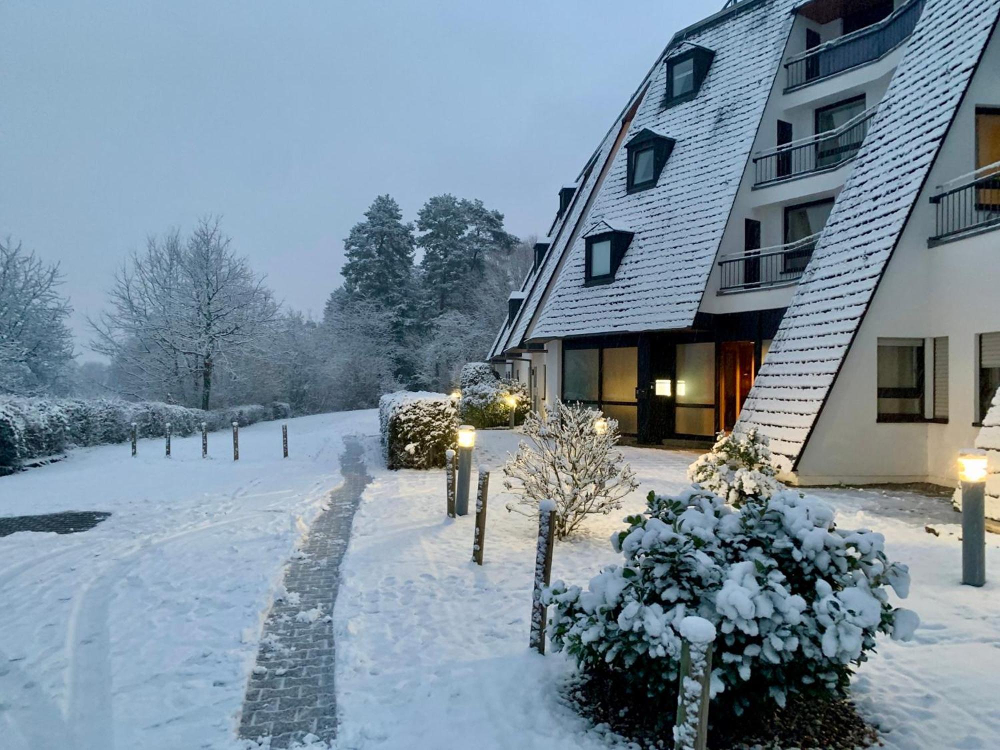 Aparthotel Tannenhof ヴィットリッヒ エクステリア 写真